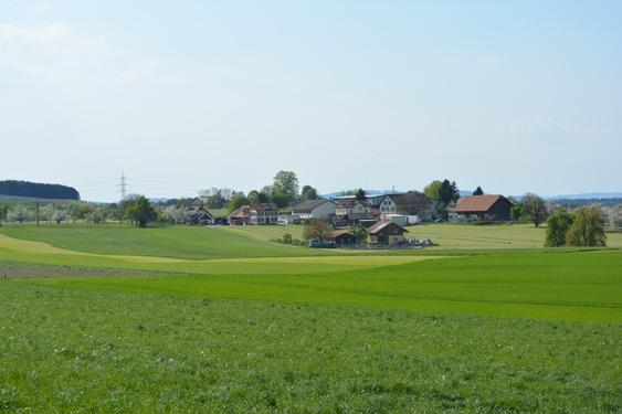 Schönholzerswilen Oberdorf