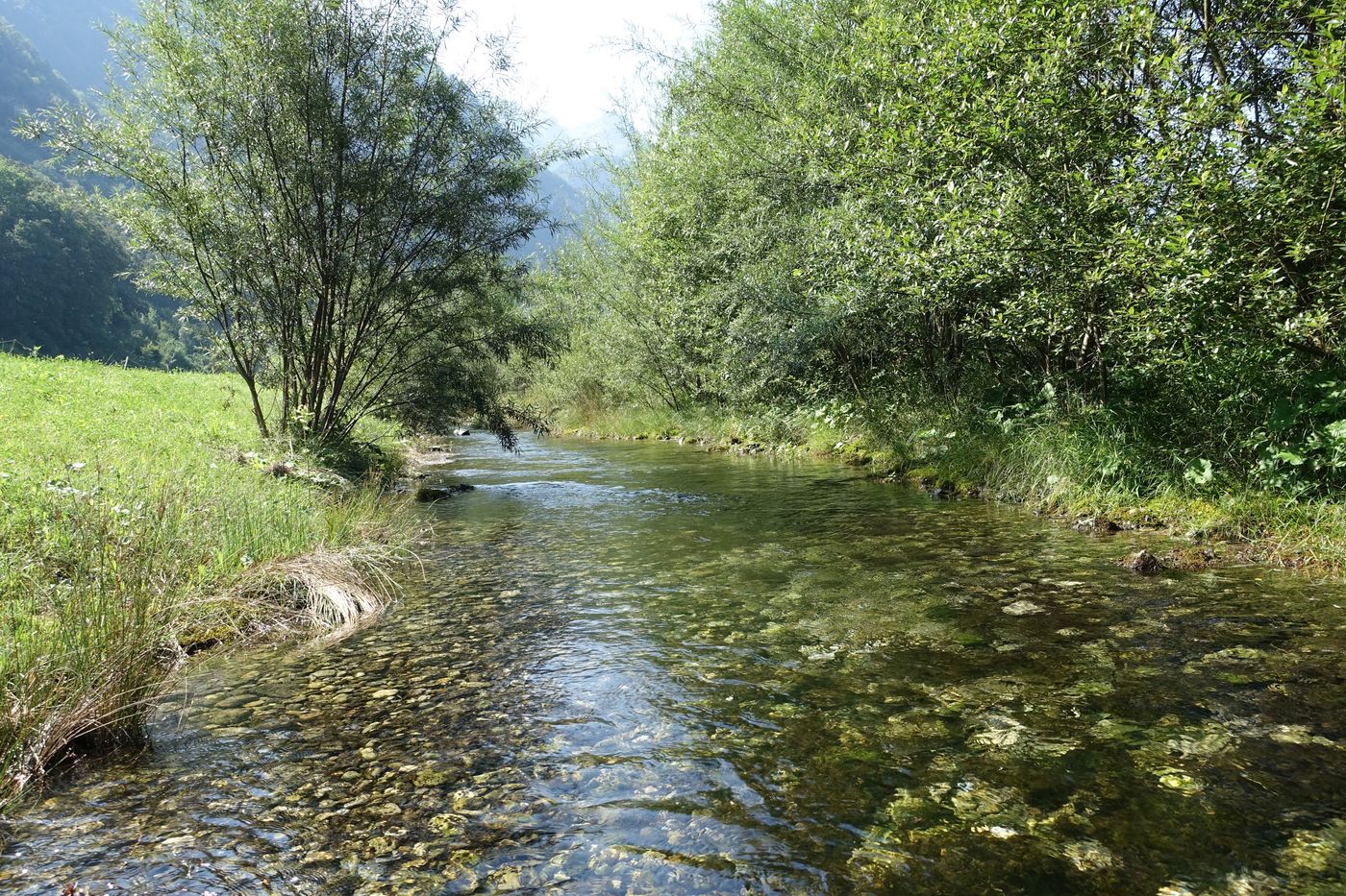 Foto vom Lochrütibach Wolfenschiessen mit naturnaher Böschung