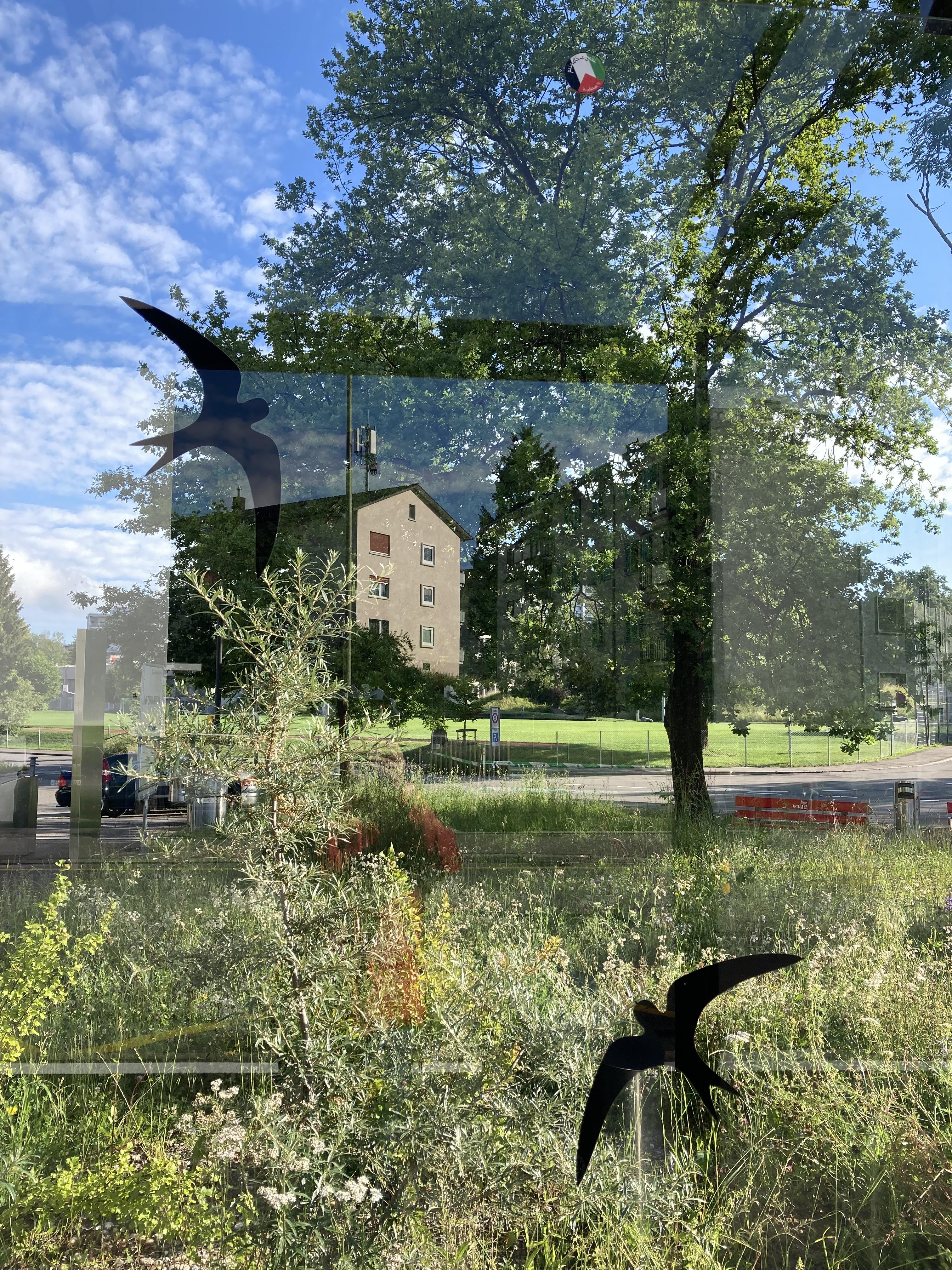 Glasscheibe