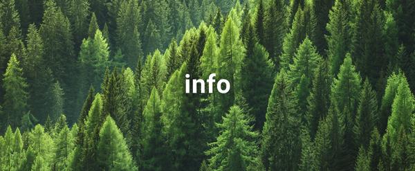 Wald mit Schriftzug info