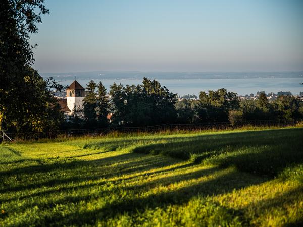 Sommer in Berg SG, grüne Wiesen und im Hintergrund die katholische Kirche mit dem Bodensee.