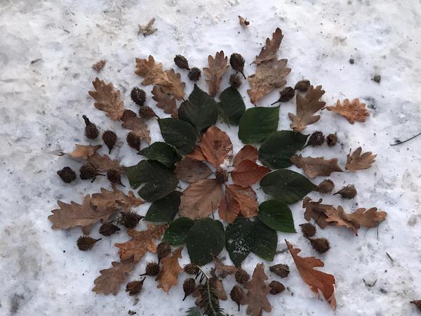 Mandala aus Blättern und Ästen im Schnee