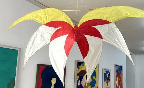 Form­flü­ge und Farb­klän­ge