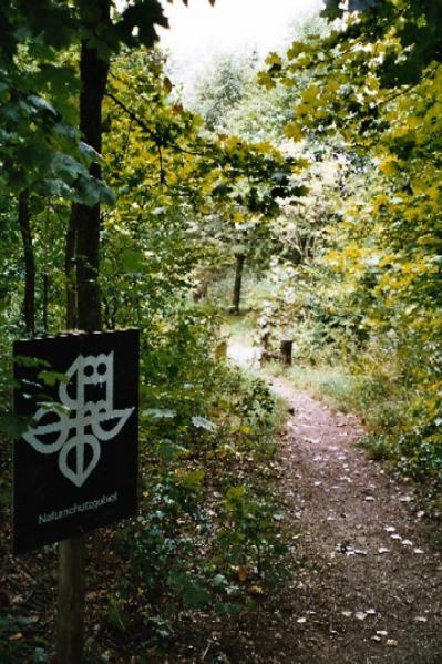 Der Zugang zum Biotop beim Bustelbach.
