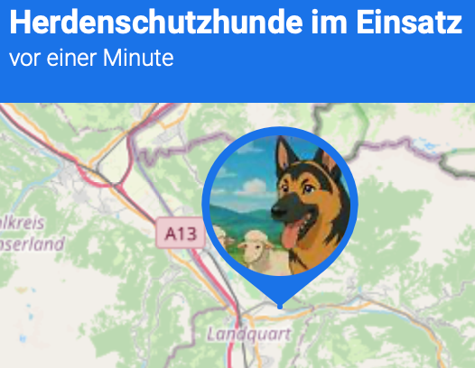 Herdenschutzhunde im Einsatz