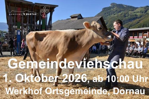 Bild Viehschau