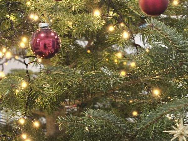 rote Weihnachstkugeln an einer Tanne