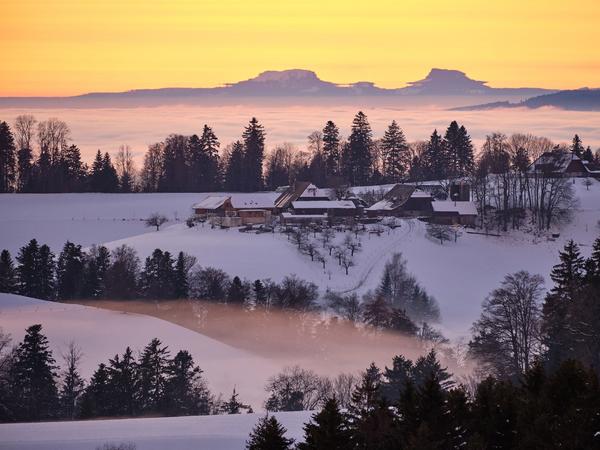 Wynigenberge Abend