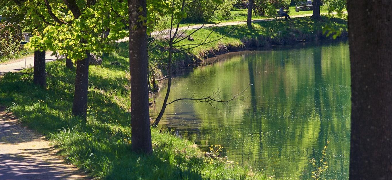 Flötzli