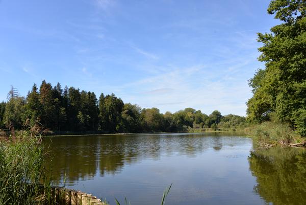 Natur pur!