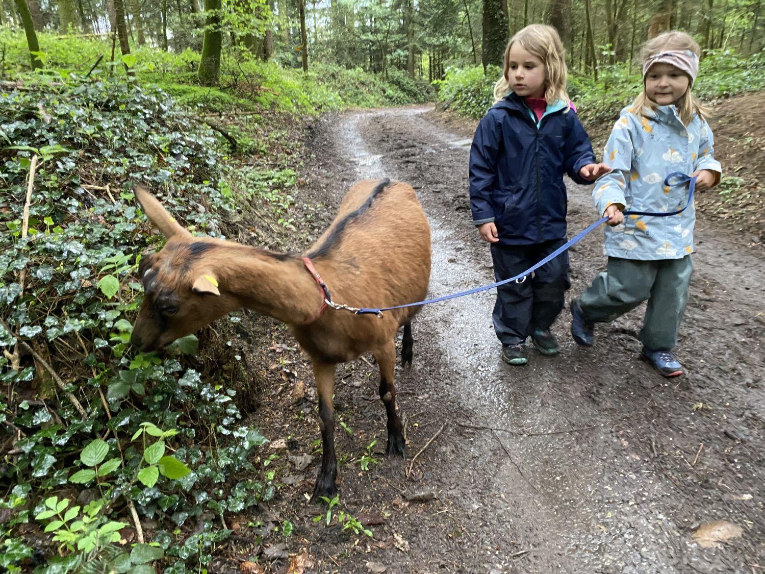 Es gibt viel zu Entdecken im Wald