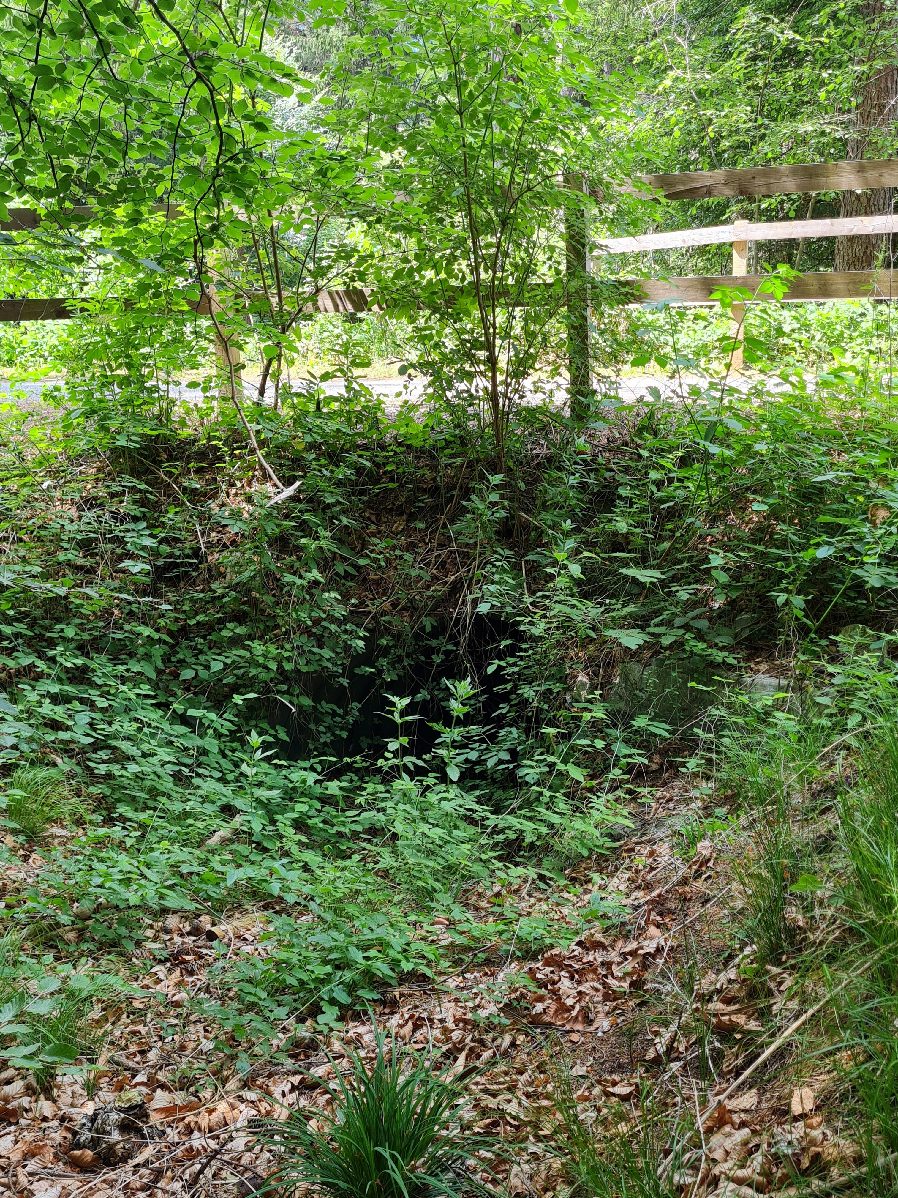 Kleintierdurchlass