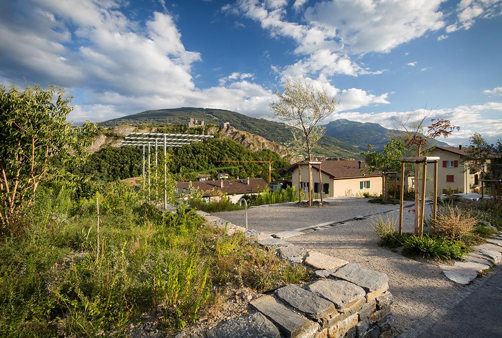 Les terrasses de la Cotzette