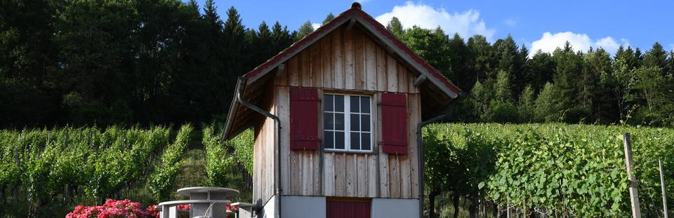 Hüttwilen