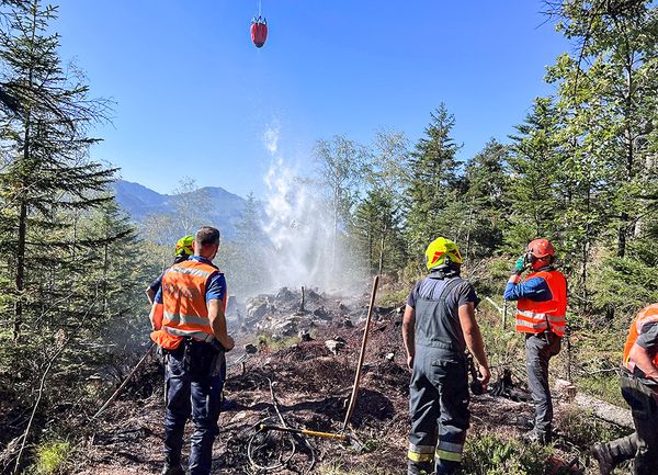 Angehörige Feuerwehr und Polizei vor dem Glimmbrand im Wald