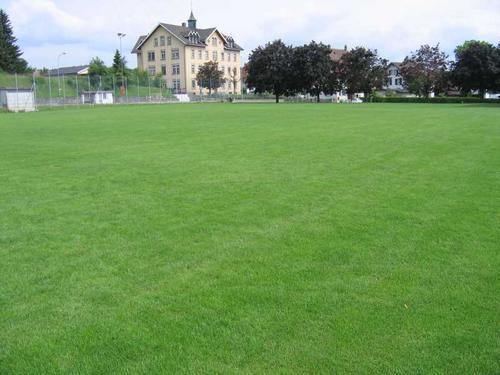Turnplatz
