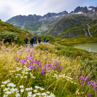 Wandergruppe am Berg