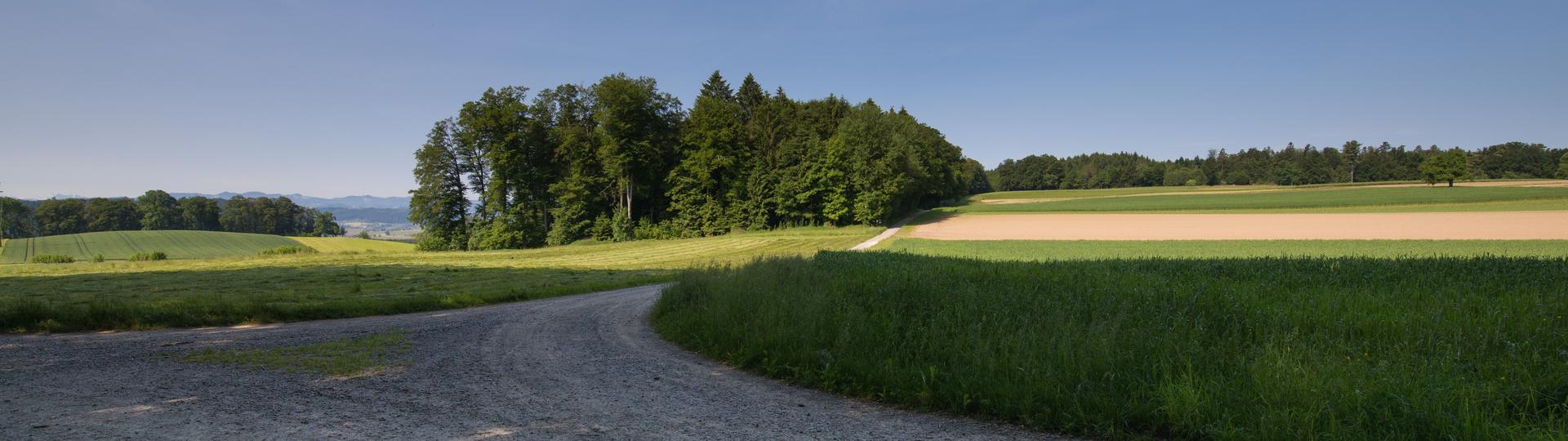 Knutwil Anlässe