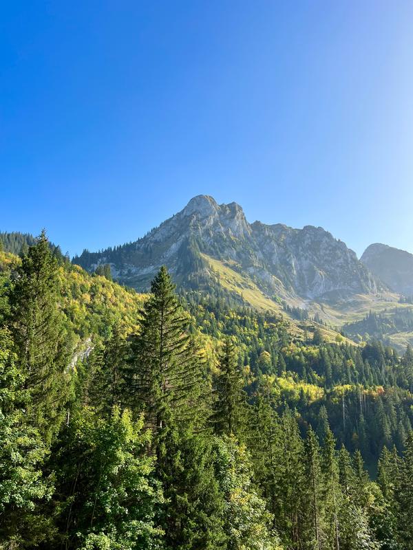 Spitzfluh