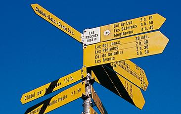 Wandern