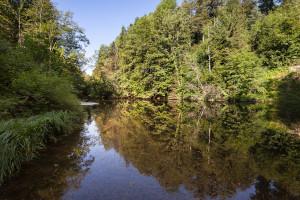 Weiher
