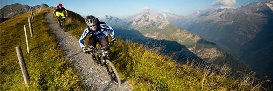 Freizeit: Biken in der Region 