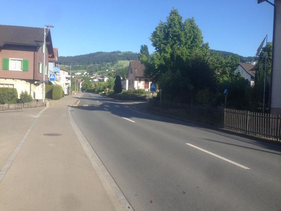 Bild Fussgängerübergang