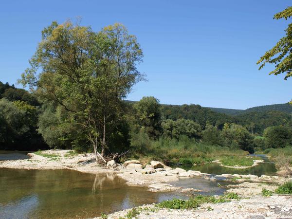 Birsaue