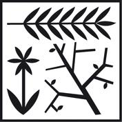 Piktogramm Christbaumabraum
