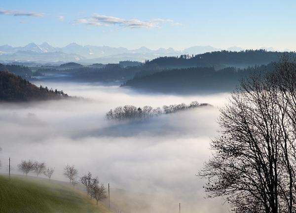 Berner Alpen über dem Nebelmeer