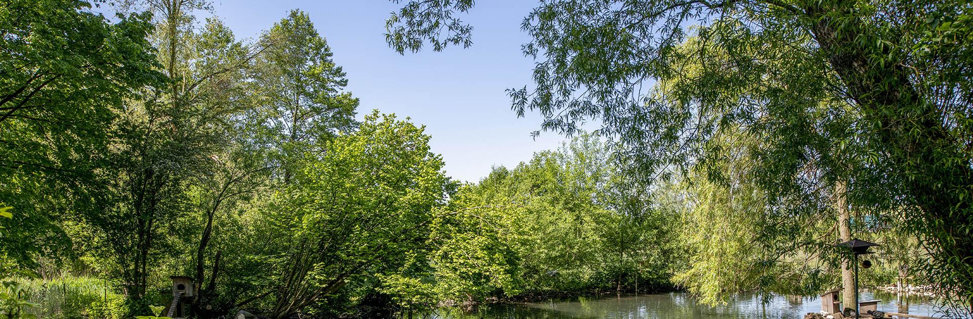 Entenweiher