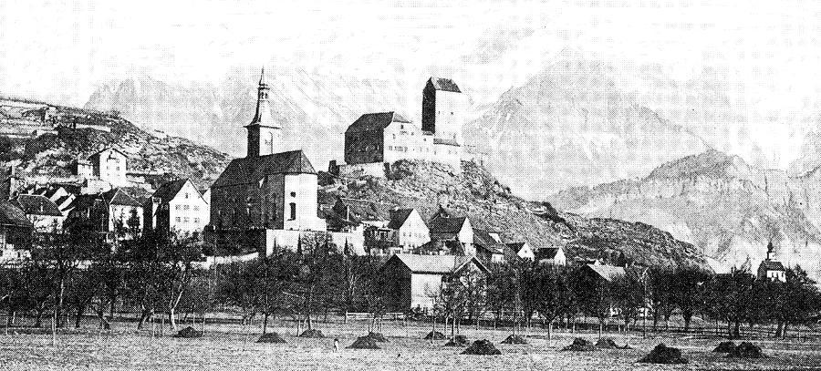 Ca. 1900: Im Grossfeld steht ein frisch gepflanzter Bungert.