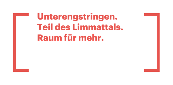 Logo Limmatstadt