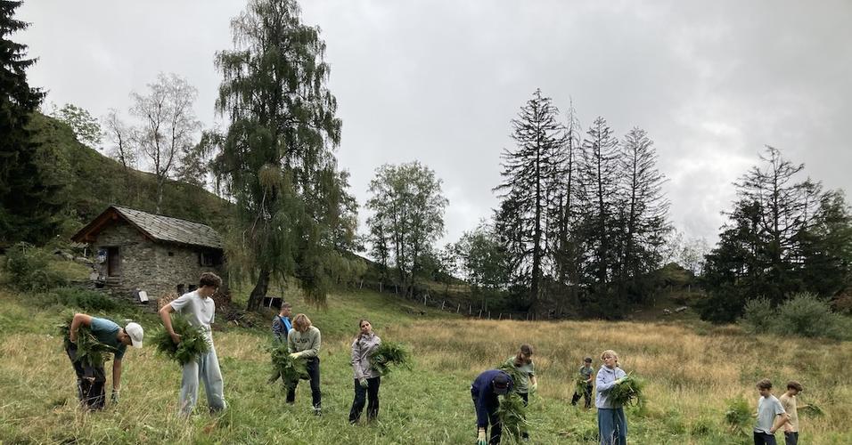 Foto 3. OS im Umwelteinsatz