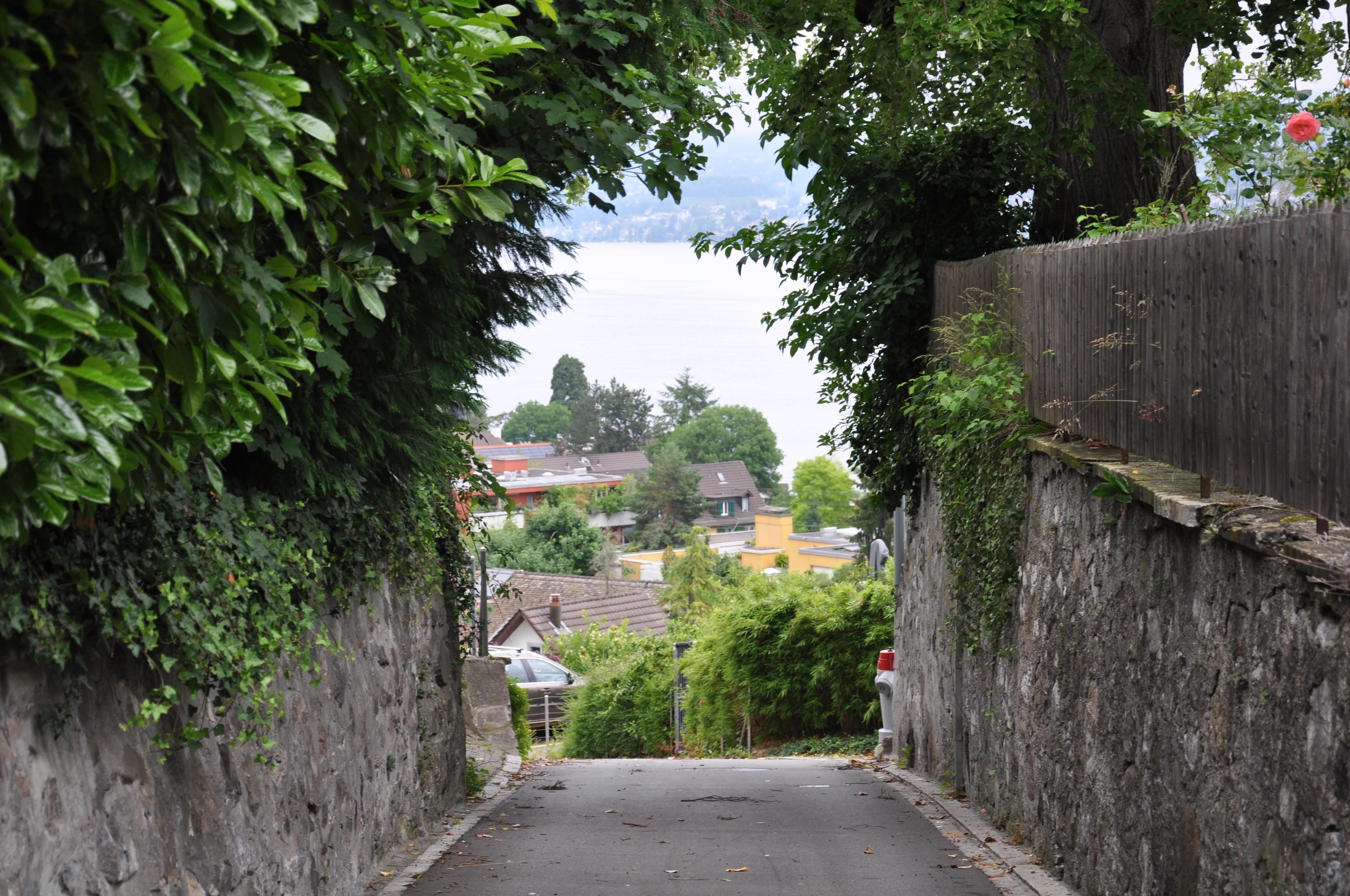 Thalwil im Sommer 2021