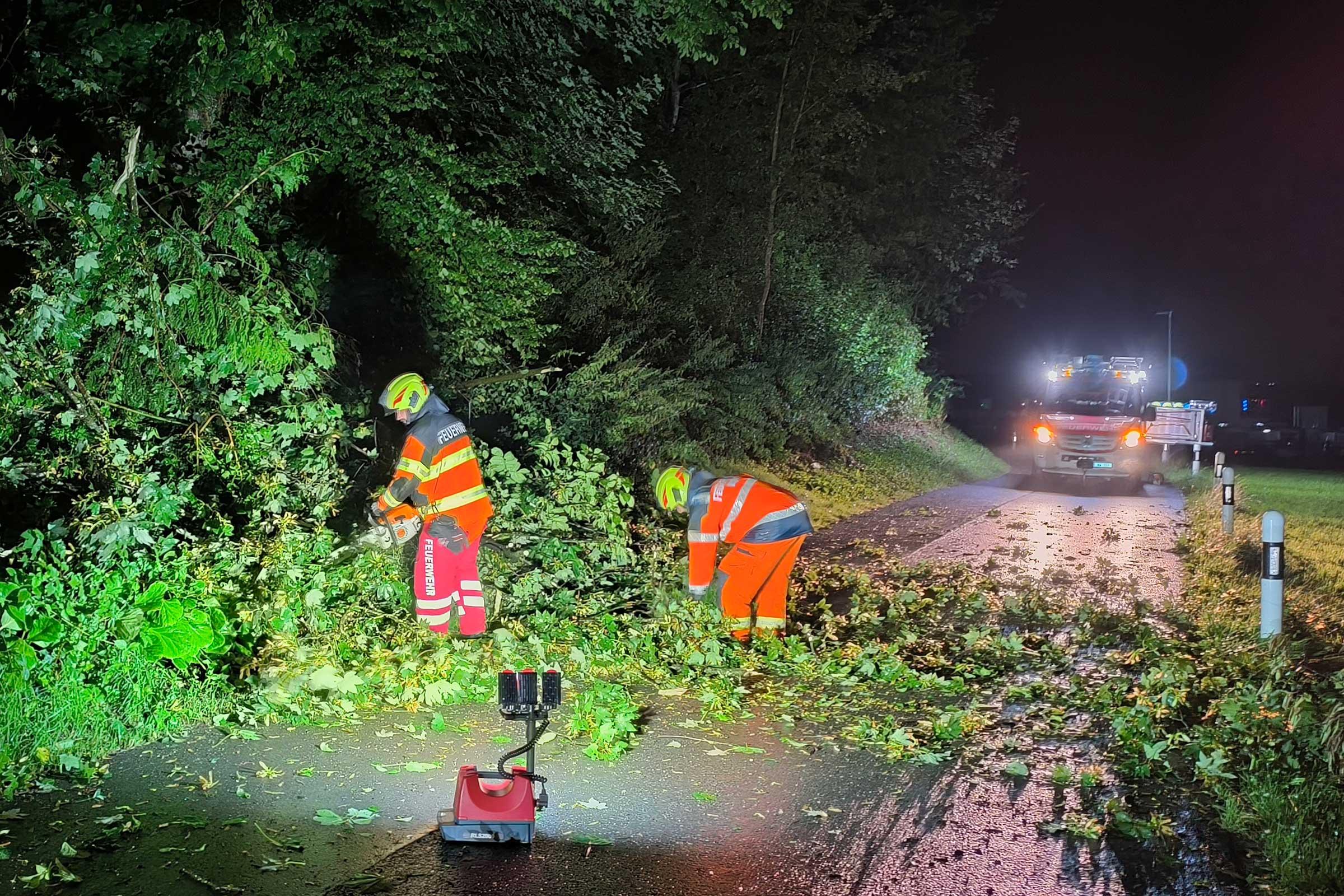 Die Ersteinsatzelemente räumen an der Rotzhalde einen umgestürzten Baum von der Strasse.