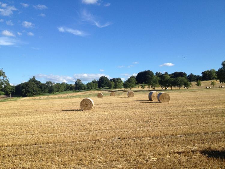 La campagne de Tournay