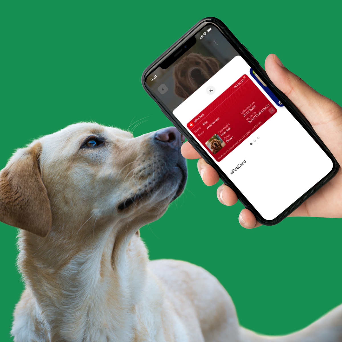 Schübelbach - Neuerungen für Hundehalter: PetCard neu digital