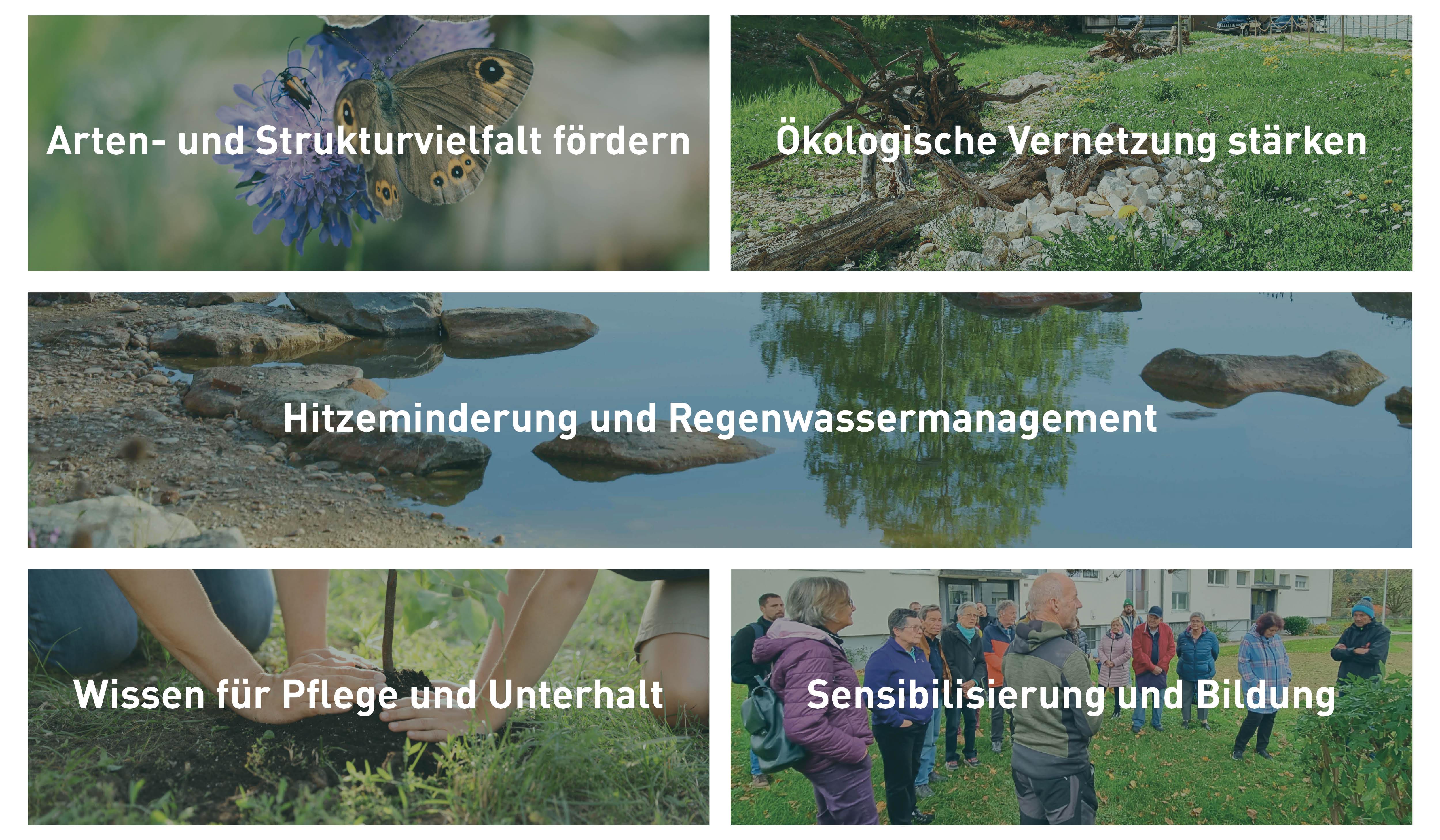 Ziele Aktionsplan Biodiversität