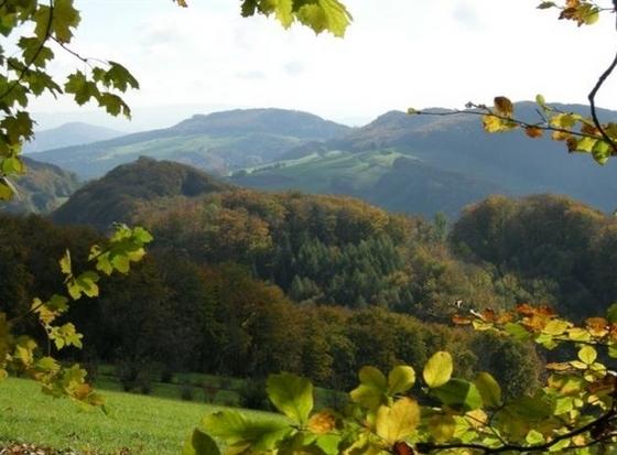 Schutzgebiet Asper Strihe