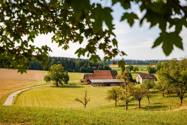 Hügelrundweg Effretikon; 12 Rämisbüel