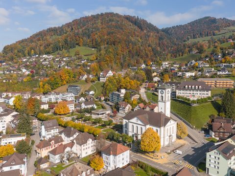 Vogelperspektive Wattwil