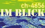 ch-4656 im Blick