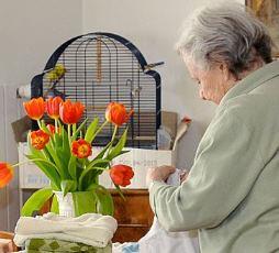 Ältere Dame die Handtücher zusammen faltet