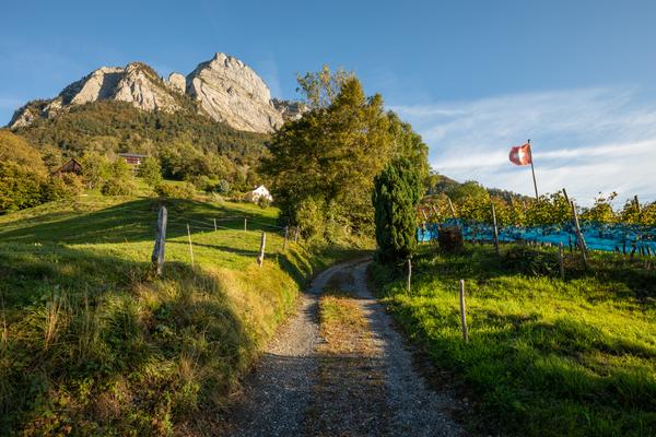 Sargans Tourismus