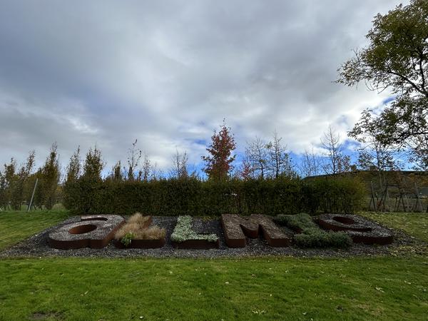 Allmig