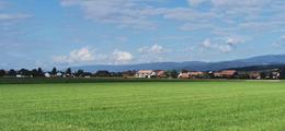 Kappelen