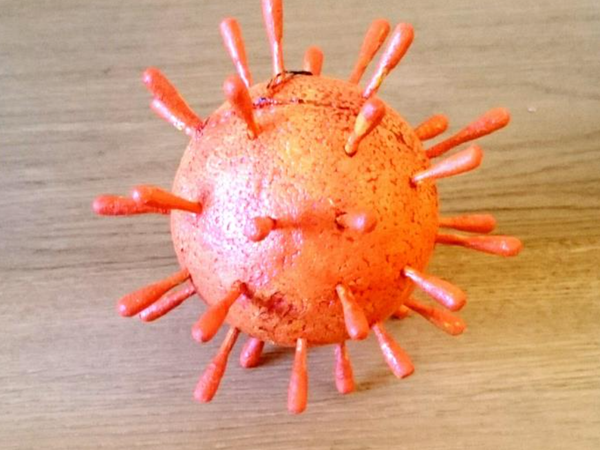Virus