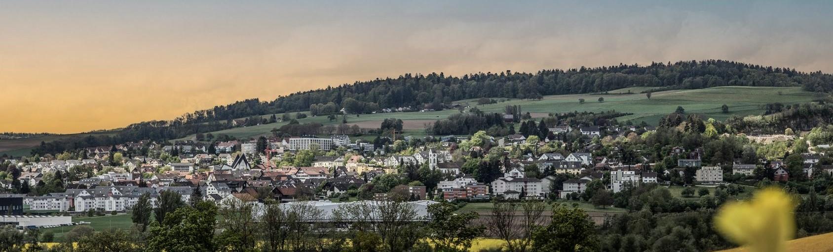 Dielsdorf