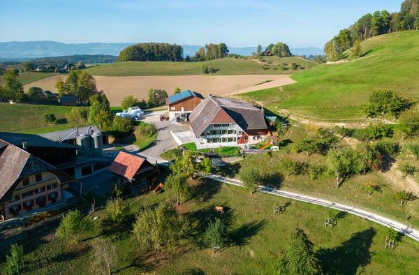 Mösli mit den Höfen Wirth und Christen